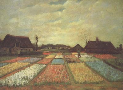 Vincent Van Gogh Bulb Fields (nn04) China oil painting art